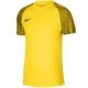 Koszulka Nike Df Academy Jsy SS Jr DH8369 719