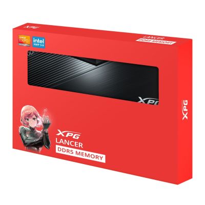 8. ADATA XPG Lancer Blade DDR5 32GB (2x16GB) 3000MHz (AX5U6000C4816G-DTLABBK) (AX5U6000C4816GDTLABBK)