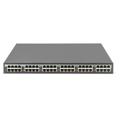 2. Digitus Iniektor 24-portowy 10G PoE+