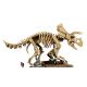 31. LEGO Jurassic World 77985 - Szkielety dinozaurów: Triceratops