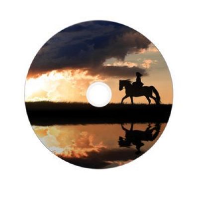 3. Verbatim 43703 płyta DVD 8,5 GB DVD-R DL 50 szt.