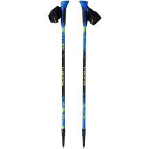 Kij Nordic Walking Viking