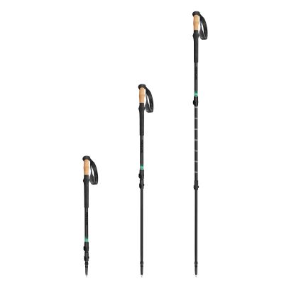 4. Kije trekkingowe Spokey Zodiac 105-135 cm trzysegmentowe SPK-944819