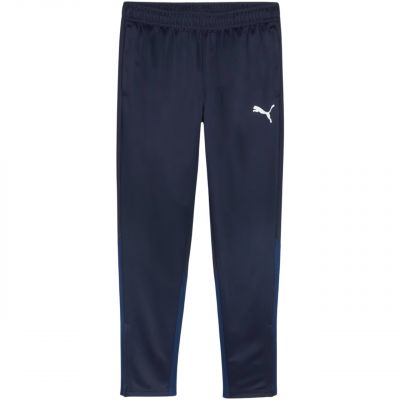 Spodnie Puma Team Goal Training M 658639 06