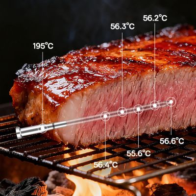 10. Termometr kuchenny Meatmeet X Pro z aplikacją Bluetooth/WiFi do grilla piekarnika wędzarni - czarny