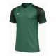3. Koszulka Nike Dri-FIT Trophy VI HV8151-302