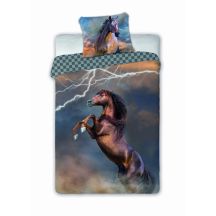 KASK ROWEROWY METEOR MV29 carbon green