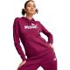 3. Bluza Puma ESS Logo Hoodie FL W 586789 52