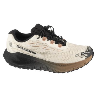 Salomon Aero Blaze 4 Grvl GTX L45403200 Białe 41 1/3