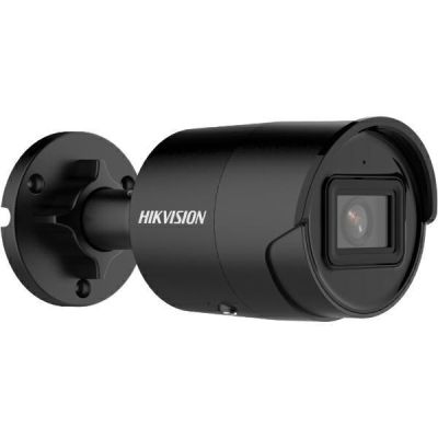 2. Kamera IP HIKVISION DS-2CD2043G2-IU (2.8mm)