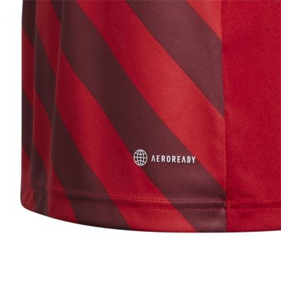 6. Koszulka adidas Entrada 22 Graphic Jersey Jr H58983