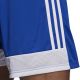 9. Spodenki adidas Tastigo 19 Shorts M DP3682
