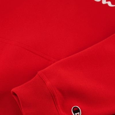 6. Bluza Champion Hooded M 220253 RS054