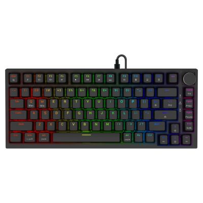 9. SAVIO KLAWIATURA MAGNETYCZNA ASTRAL BLACK OUTEMU WHITE JADE RGB