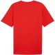 2. Koszulka Puma Team Rise Logo Jersey Cotton M 658705 01