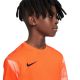 Koszulka Nike Dry Park IV JSY LS GK Jr CJ6072-819