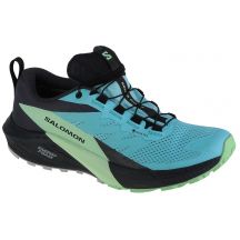 Buty do biegania Salomon Sense Ride 5 GTX W 472160