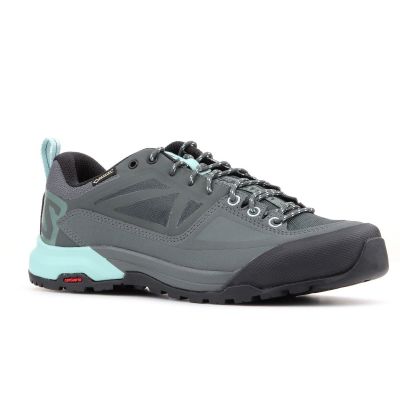 2. Salomon X Alp Spry Gtx 401619
