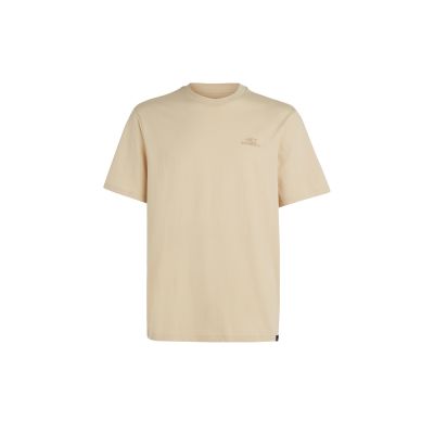 Koszulka O'Neill Small Logo T-Shirt M 92800613999