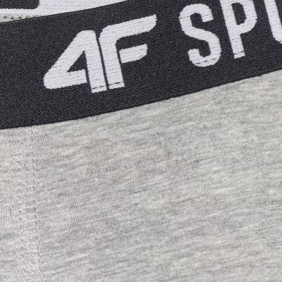 10. Bokserki dla chłopca 4F M061 3pak multikolor 4FJWAW25UBXSM061 90S