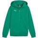 Bluza dla dzieci Puma teamGoal Casuals Hooded zielona 658596 05