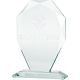 5. Trofeum szklane z grawerowerką 3D z etui