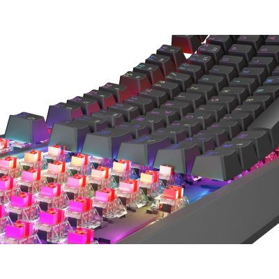 27. KLAWIATURA DLA GRACZY GENESIS THOR 230 TKL DE RGB MECHANICZNA OUTEMU RED CZARNA HOT SWAP