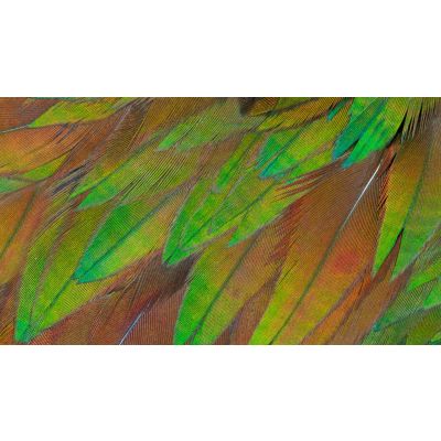 7. Monitor Philips 68.5cm (27.0") 27B1U3900 16:09 2xHDMI+DP+USB-C Lift