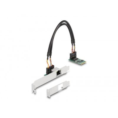 6. DeLOCK Konwerter M.2 z kluczem B+M 1 x RJ45 2,5 Gigabit LAN