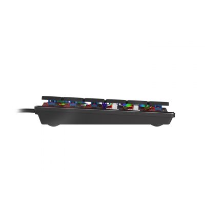 6. GENESIS Thor 420 RGB klawiatura Gaming USB AZERTY US English Srebrny