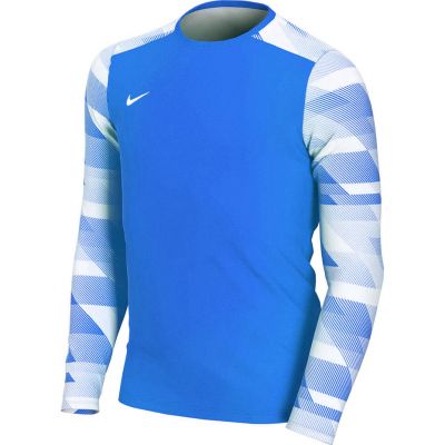 Koszulka Nike Dry Park IV JSY LS GK Jr CJ6072-463