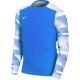 Koszulka Nike Dry Park IV JSY LS GK Jr CJ6072-463