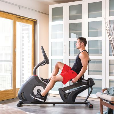 13. Rower Poziomy Programowany Schwinn 230i