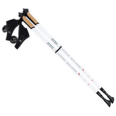 9. Kijki Nordic Walking regulowane Long Life Lite SMJ sport HS-TNK-000006680