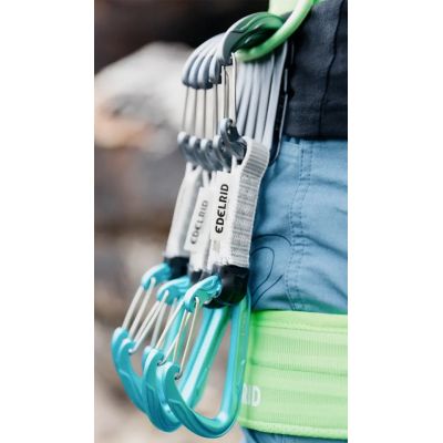 2. Edelrid 737930106020 karabińczyk do wspinaczki Zapięcie z blokadą W kształcie litery D Niebieski, Srebrny 6 szt.
