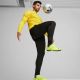 5. Spodnie Puma Team Goal Slim Training M 659037 03