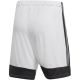5. Spodenki adidas Tastigo 19 Shorts M DP3247