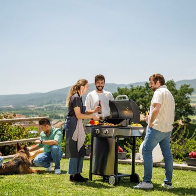 14. Grill gazowy Black+Decker BXOG7200E 2 palniki x 3.6 kW