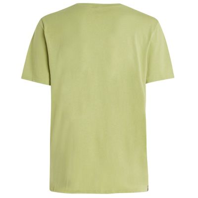 2. Koszulka męska Protest PRTAHAIRD t-shirt