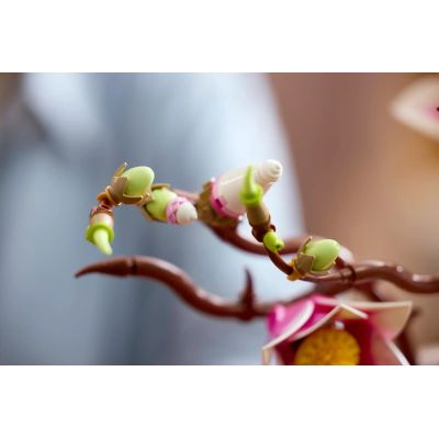 13. LEGO Botanicals 11510 - Gałązki magnolii