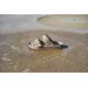 3. Birkenstock Arizona EVA Gray Taupe (1030447)