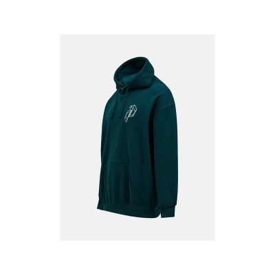 2. Bluza męska PEAK PERFORMANCE M Terry Graphic Hood kolor zielony