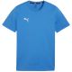 7. Koszulka Puma Team Goal Casuals Tee M 658615 02