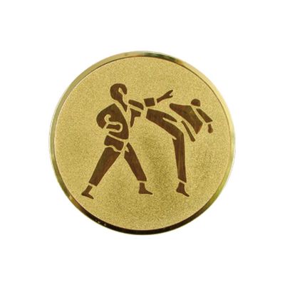 2. Wklejka aluminiowa - karate