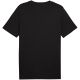 2. Koszulka męska Puma Ess 2 Color Small No. 1 Logo Tee czarna 684717 01