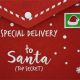 3. KOPERTA ŚWIĄTECZNA LIST DO ŚWIĘTEGO MIKOŁAJA FILCOWA 26x16CM SPECIAL DELIVERY