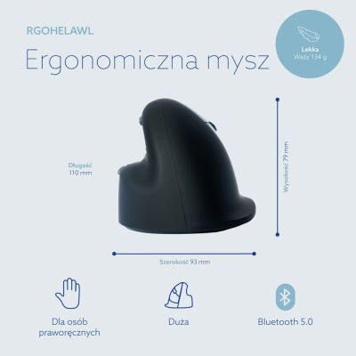 14. R-Go Tools Ergonomiczna mysz R-Go HE