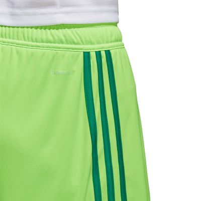 4. Spdenki adidas Regista 18 Short M CF9598