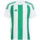 6. Koszulka adidas Striped 24 Jr IW2138