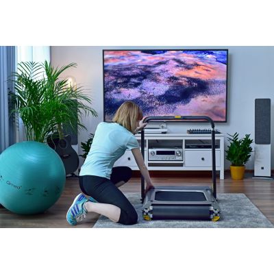 65. Bieżnia Sportowa Kingsmith WalkingPad TRR1F R1